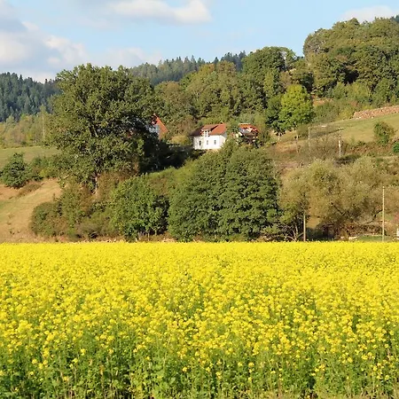 Landgasthof Engel Gutach