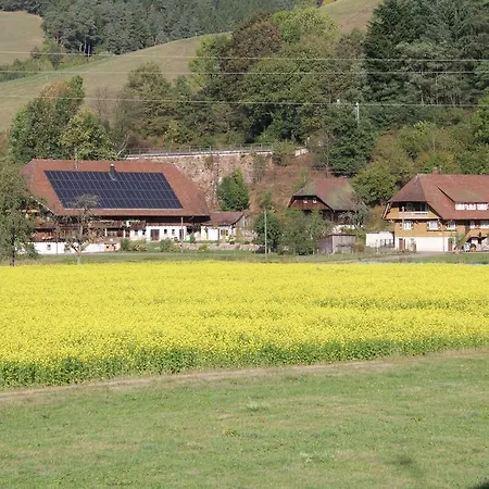 Apartamento Landgasthof Engel Gutach